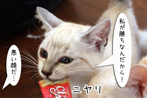 摜8
