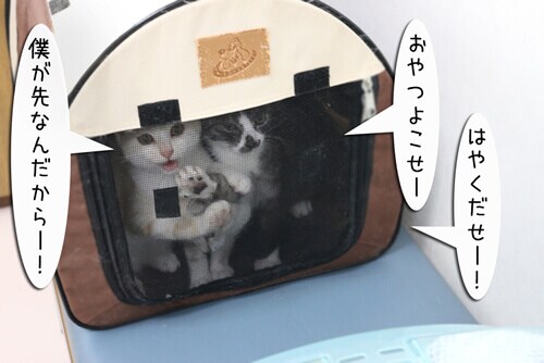 摜1