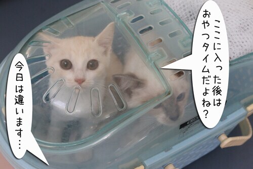 摜3