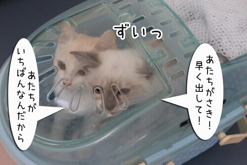 摜4