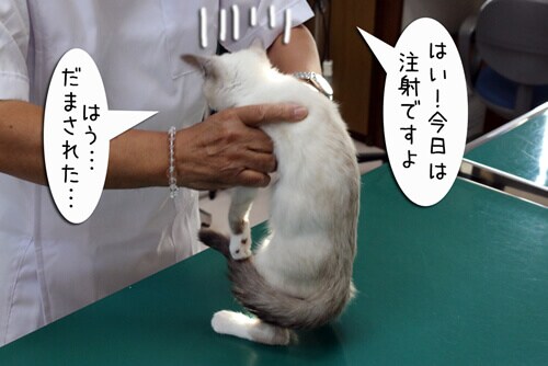 摜7