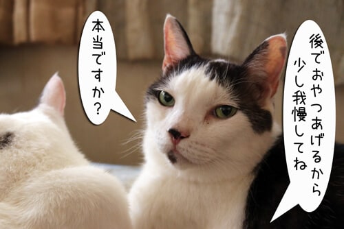 摜7