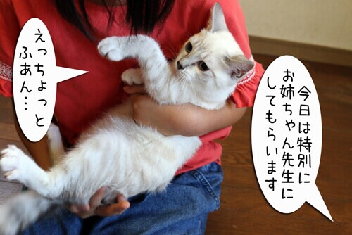 摜2