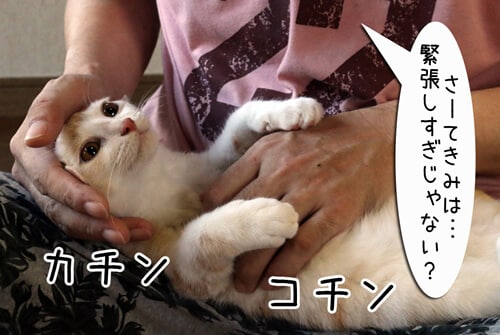 摜6