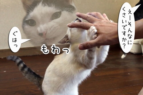 摜3