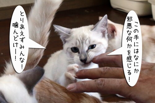 摜4
