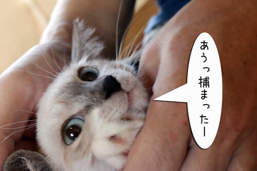摜5