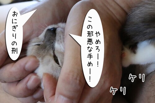 摜6