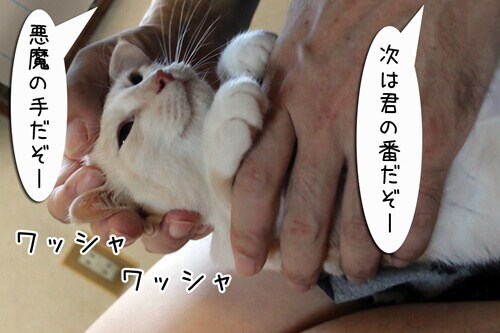 摜7