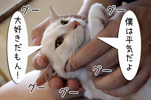 摜8