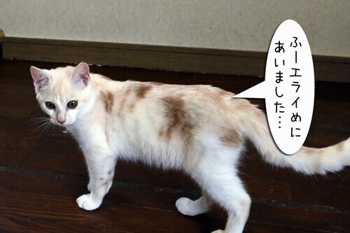 摜7