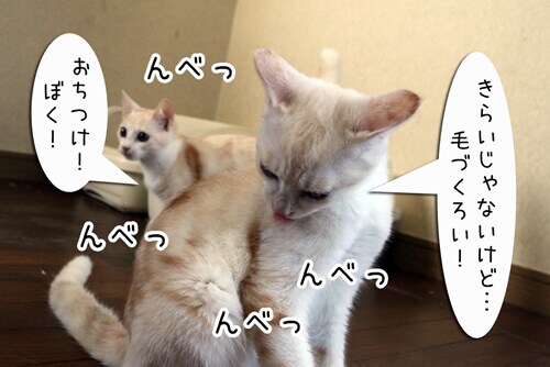 摜8