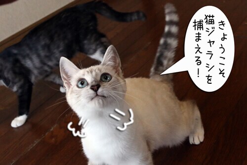 摜3