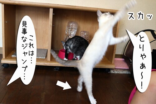 摜5