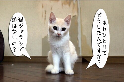 摜7