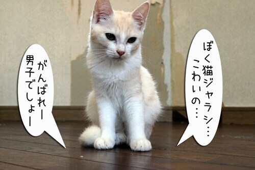摜8