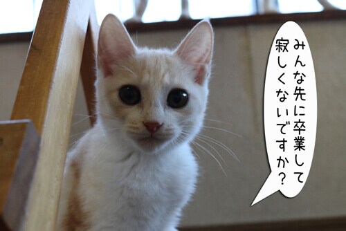 摜1