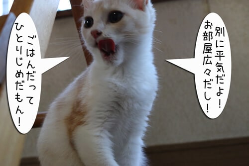 摜2
