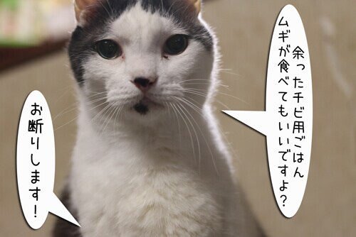 摜6