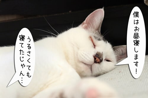 摜8