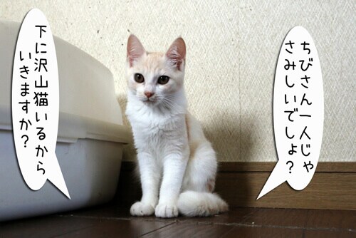 摜1