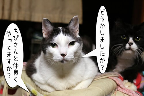 摜1