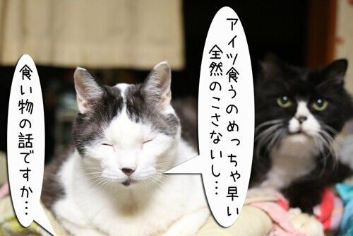 摜2