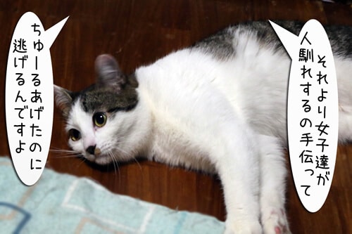 摜3