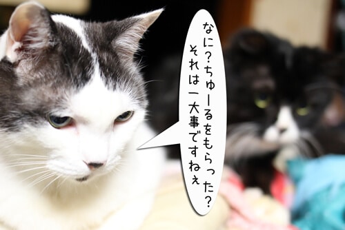 摜4