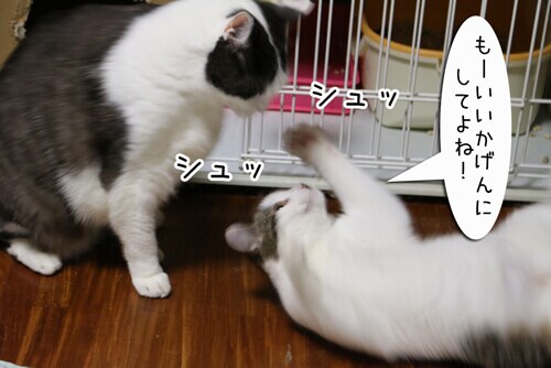 摜7