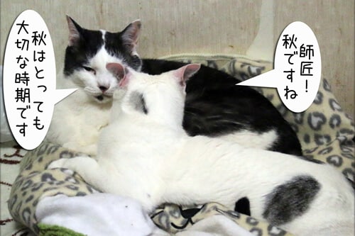 摜1