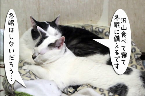 摜2