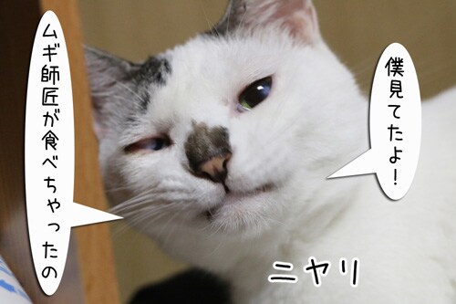 摜6
