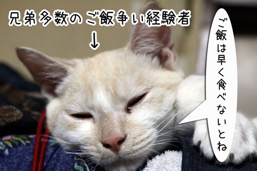 摜8