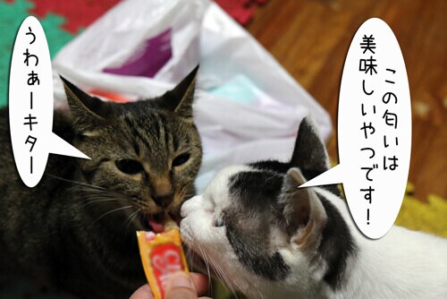 摜5
