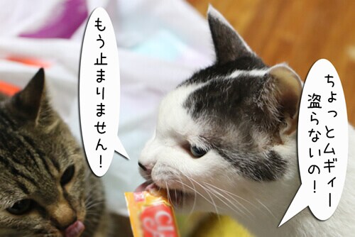 摜6