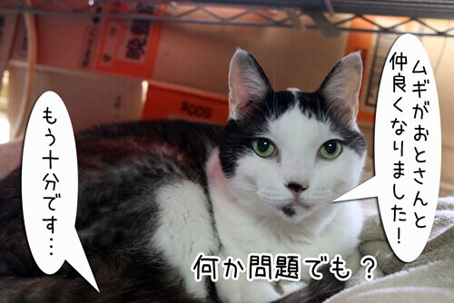 摜8