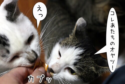 摜5