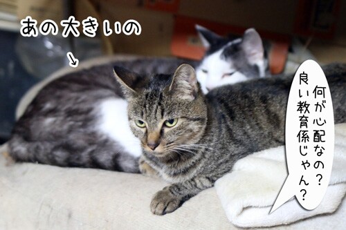 摜3