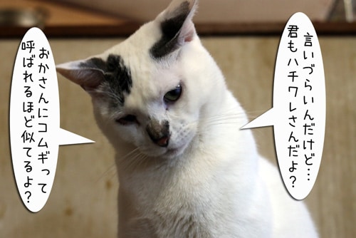 摜8
