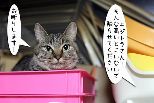 摜1