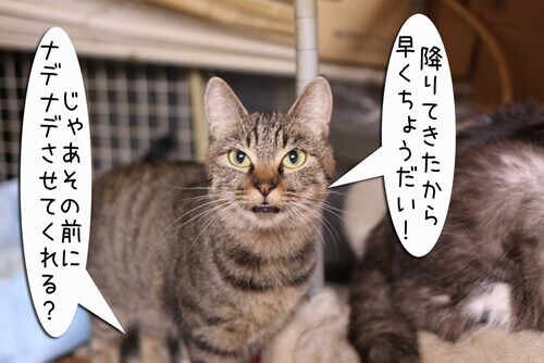 摜4