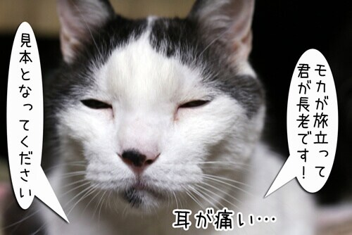 摜5