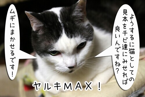摜6