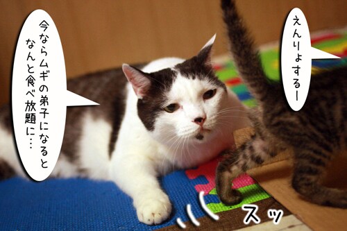 摜3