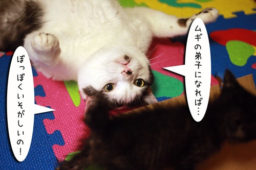摜6
