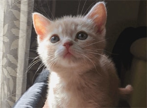 ݁[񂳂񂿂̃~