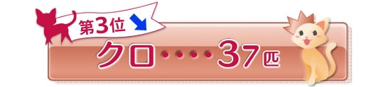 Rʁ@N@RVC@