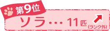 Xʁ@\@PPC@