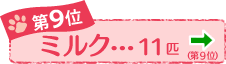 Xʁ@~N@PPC@